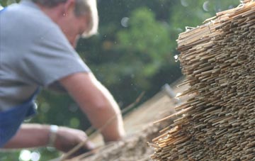 professional Ynyswen thatchers